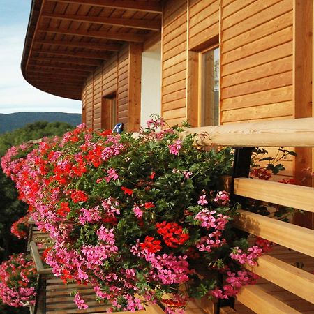 Hotel Dolomitenblick Теренто Экстерьер фото